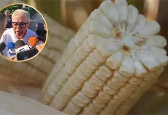 Rocha Moya califica de muy poco el presupuesto federal para la comercialización del maíz