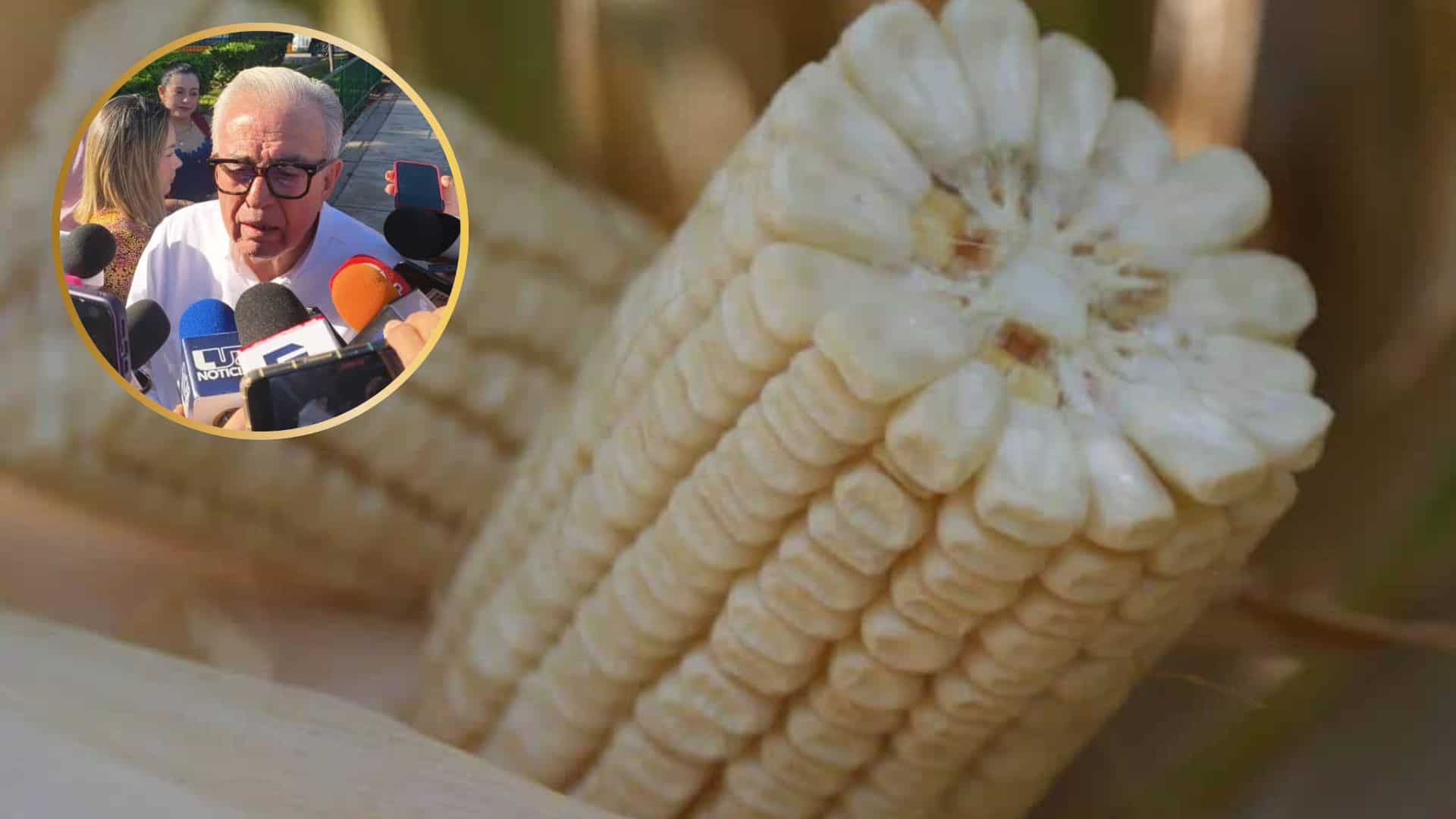 Rocha Moya califica de muy poco el presupuesto federal para la comercialización del maíz