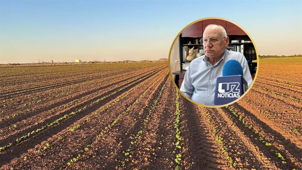 Suben los costos del fertilizante, pero el campo de Sinaloa no se detiene