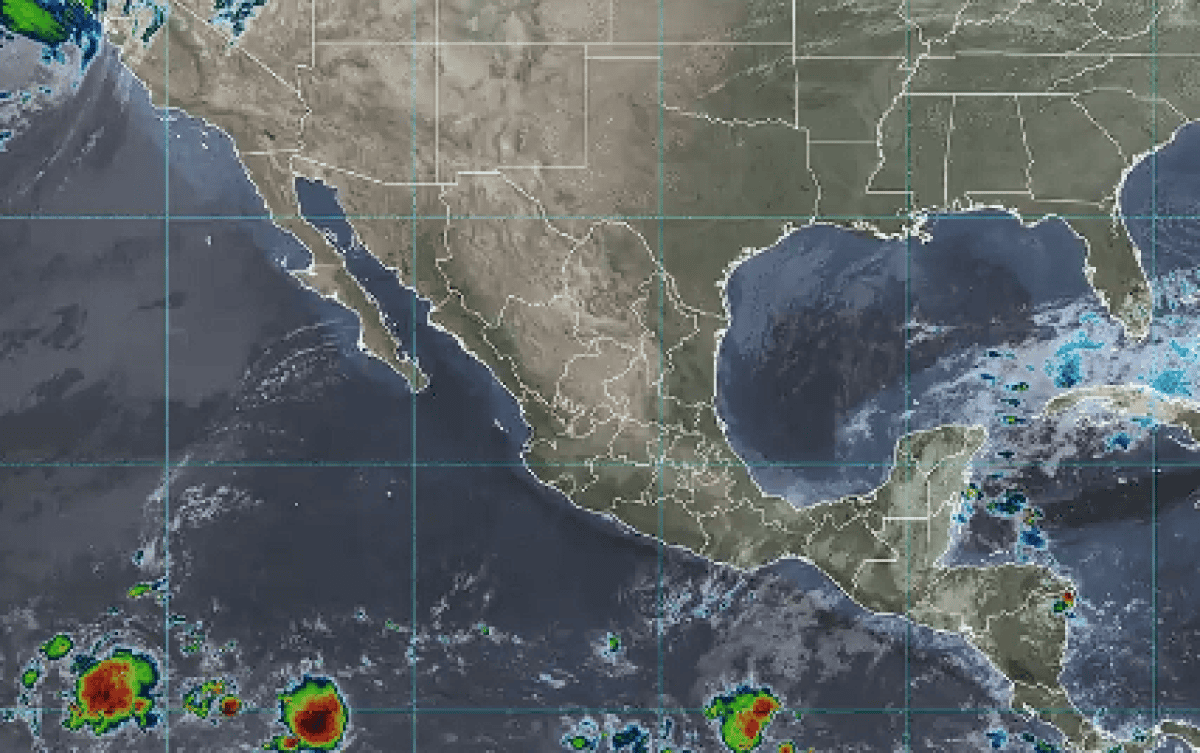 Imagen Placeholder Imagen Placeholder