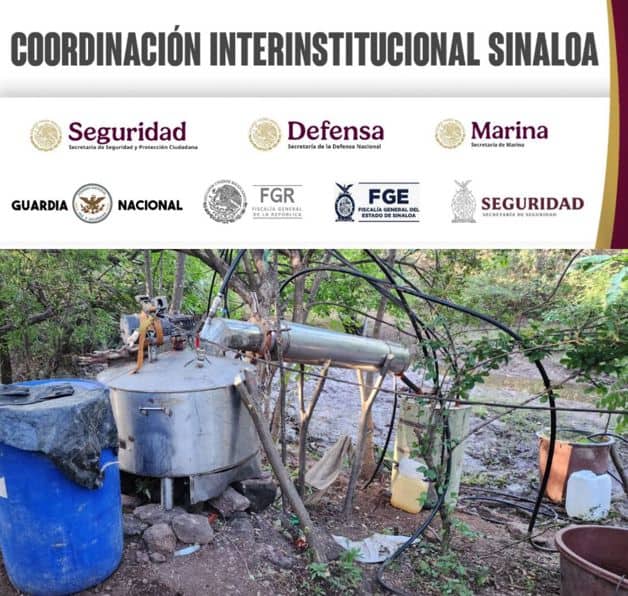 Imagen Placeholder Imagen Placeholder