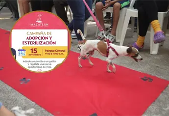 Esteriliza o adopta un perrito o gatito; Ven a la 10ª Jornada Huellitas del Bienestar en Mazatlán