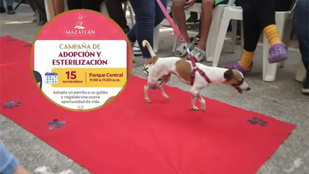 Nota Relacionada de Sinaloa