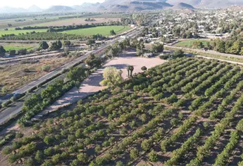Insuficiente el presupuesto para el campo: CAADES