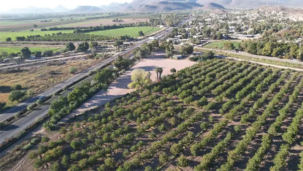 Nota Relacionada de Agro