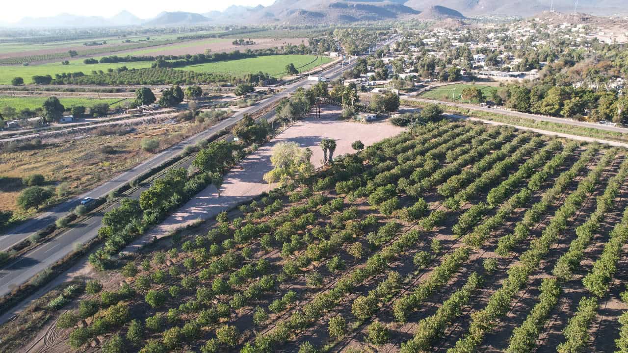 Insuficiente el presupuesto para el campo: CAADES