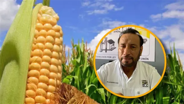 Nota Relacionada de Agro
