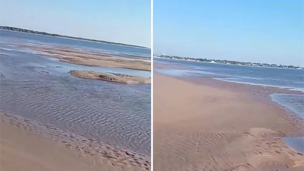 Nota Relacionada de Sinaloa