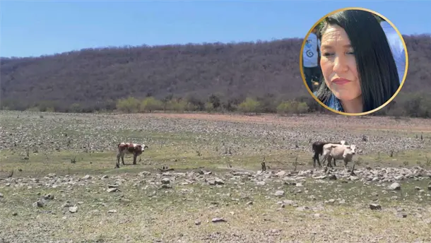 Nota Relacionada de Sinaloa