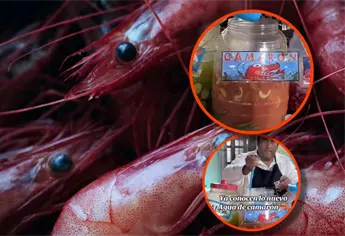 Agua ¿de camarón? En este lugar cerca de Sinaloa venden esta exótica bebida