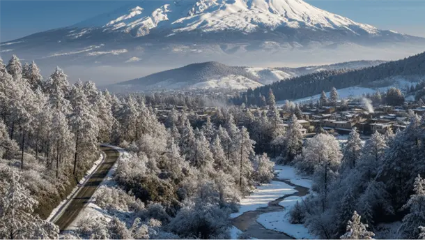 Nota Relacionada de México