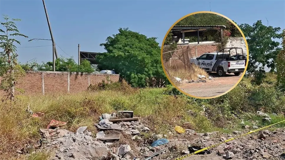 Hallan a hombre sin vida colgado de un árbol en Mazatlán; autoridades investigan