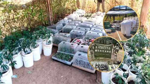 Nota Relacionada de Policiaca