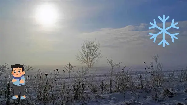 Nota Relacionada de México