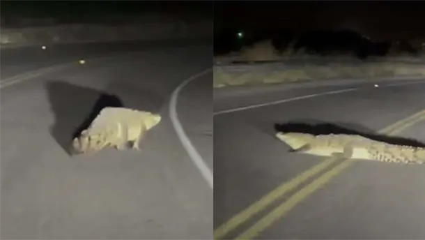 Nota Relacionada de Sinaloa