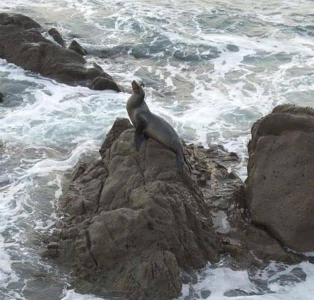 Imagen Placeholder Imagen Placeholder