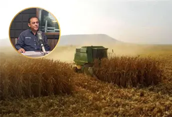 Maíz sinaloense, de excelente calidad pero en desventaja en la Bolsa de Chicago: Ramón Gallegos