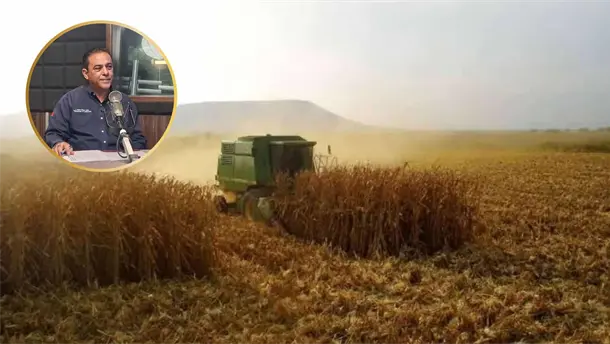 Nota Relacionada de Agro