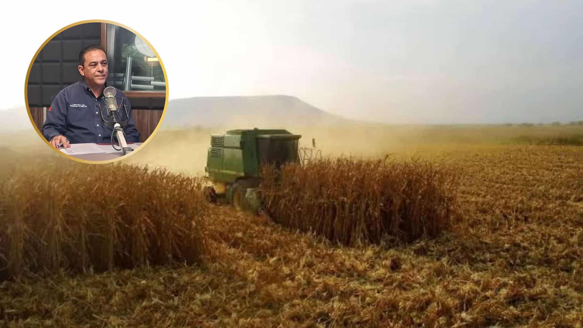 Maíz sinaloense, de excelente calidad pero en desventaja en la Bolsa de Chicago: Ramón Gallegos