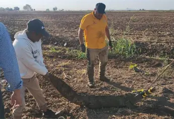 Capturan enorme caimán de 2.3 metros en Juan José Ríos