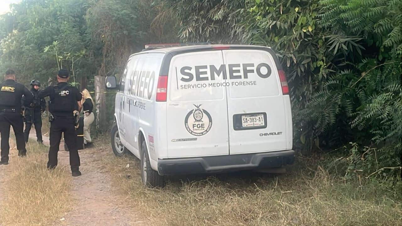 Imagen Placeholder Imagen Placeholder