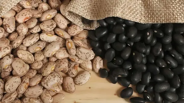 Nota Relacionada de Agro