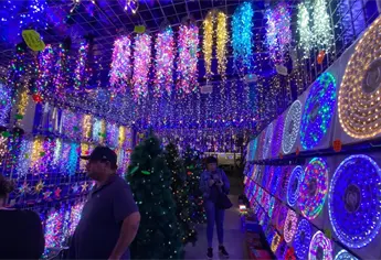 ¿Ya pusiste tu árbol de navidad? Decorar tu pino artificial este año en Mazatlán puede costar hasta 4 mil pesos