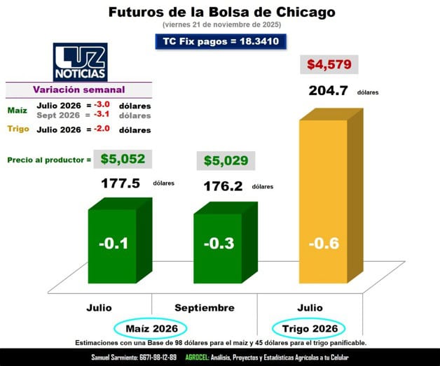 Imagen Placeholder Imagen Placeholder