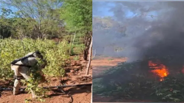 Nota Relacionada de Policiaca