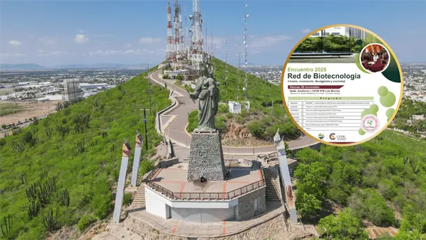 Nota Relacionada de Sinaloa