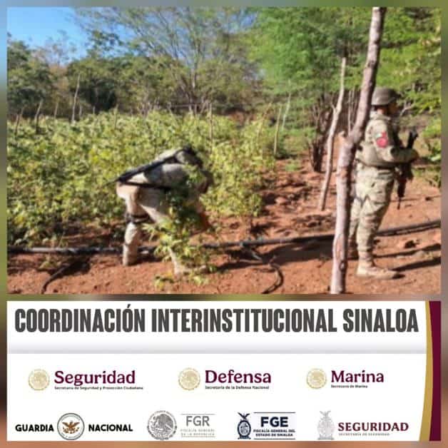 Imagen Placeholder Imagen Placeholder