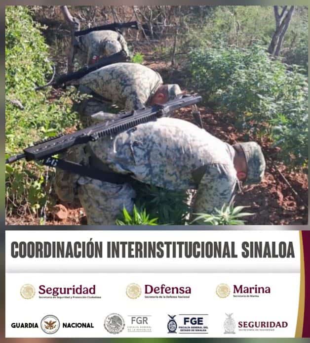 Imagen Placeholder Imagen Placeholder