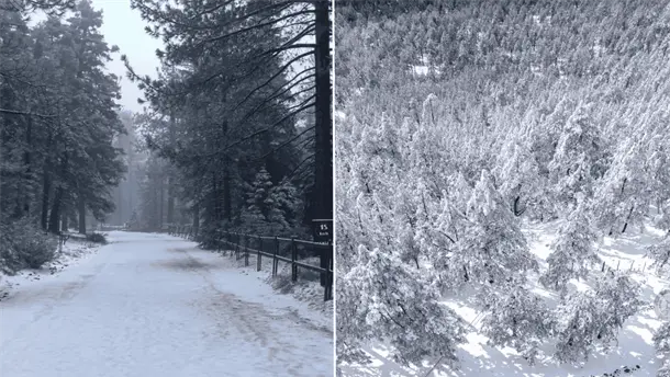 Nota Relacionada de México