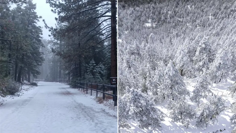 Baja California y Chihuahua registraron las primeras temporadas de la temporada. (FOTO: X).