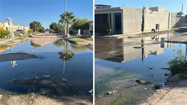 Nota Relacionada de Sinaloa