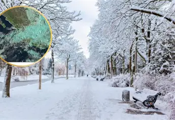 Invierno 2025 en México: cuándo inicia oficialmente y qué esperar