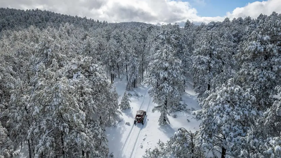 Chihuahua ya tuvo su primera nevada del año. (FOTO: @ClimaChihuahua1).