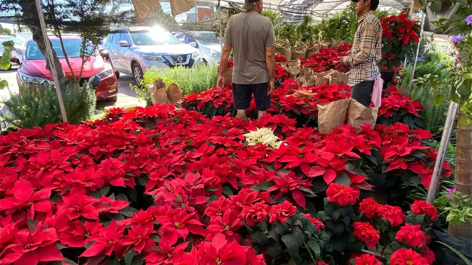 FOTO: Tahiry Zambrano.