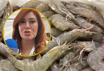 El mejor camarón es el de Sinaloa, pero no vale en el mercado: Flor Emilia Guerra 