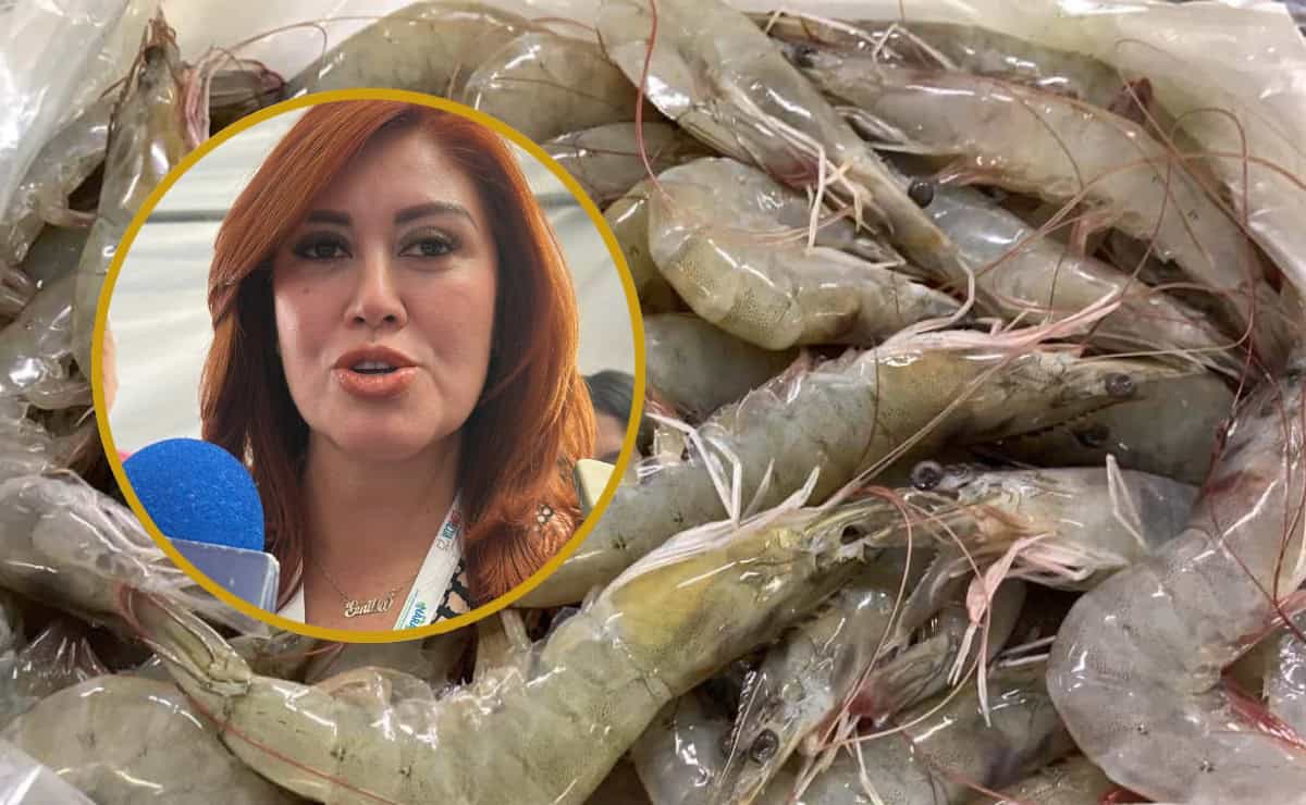 El mejor camarón es el de Sinaloa, pero no vale en el mercado: Flor Emilia Guerra 