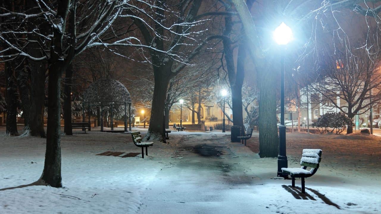 Imagen Placeholder Imagen Placeholder