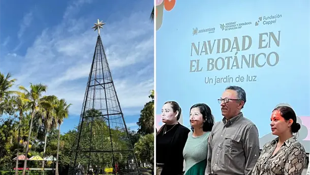 Nota Relacionada de Sinaloa