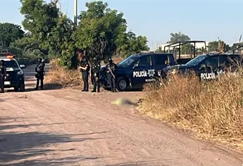 Ejecutan a balazos a una mujer en camino de terracería del ejido Buenos Aires, Navolato