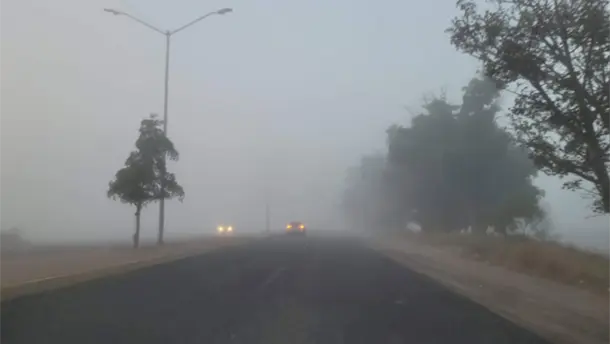 Nota Relacionada de Sinaloa