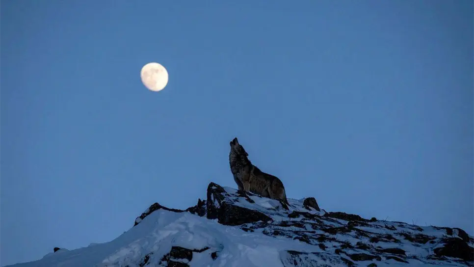 FOTO: Superluna Fría 2025: cuándo verla en México y por qué será la más brillante hasta 2042