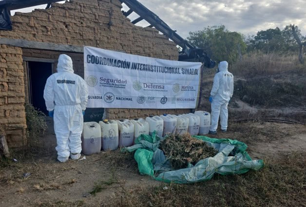 Imagen Placeholder Imagen Placeholder