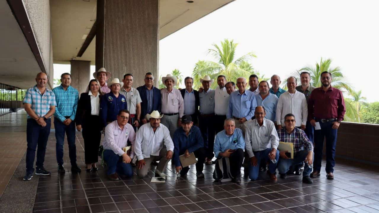 SADER inicia proceso de pagos trigueros de Sinaloa; en 10 días abrirán ventanillas