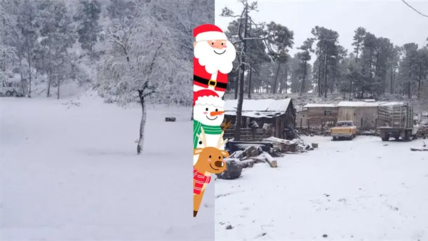 Nota Relacionada de México