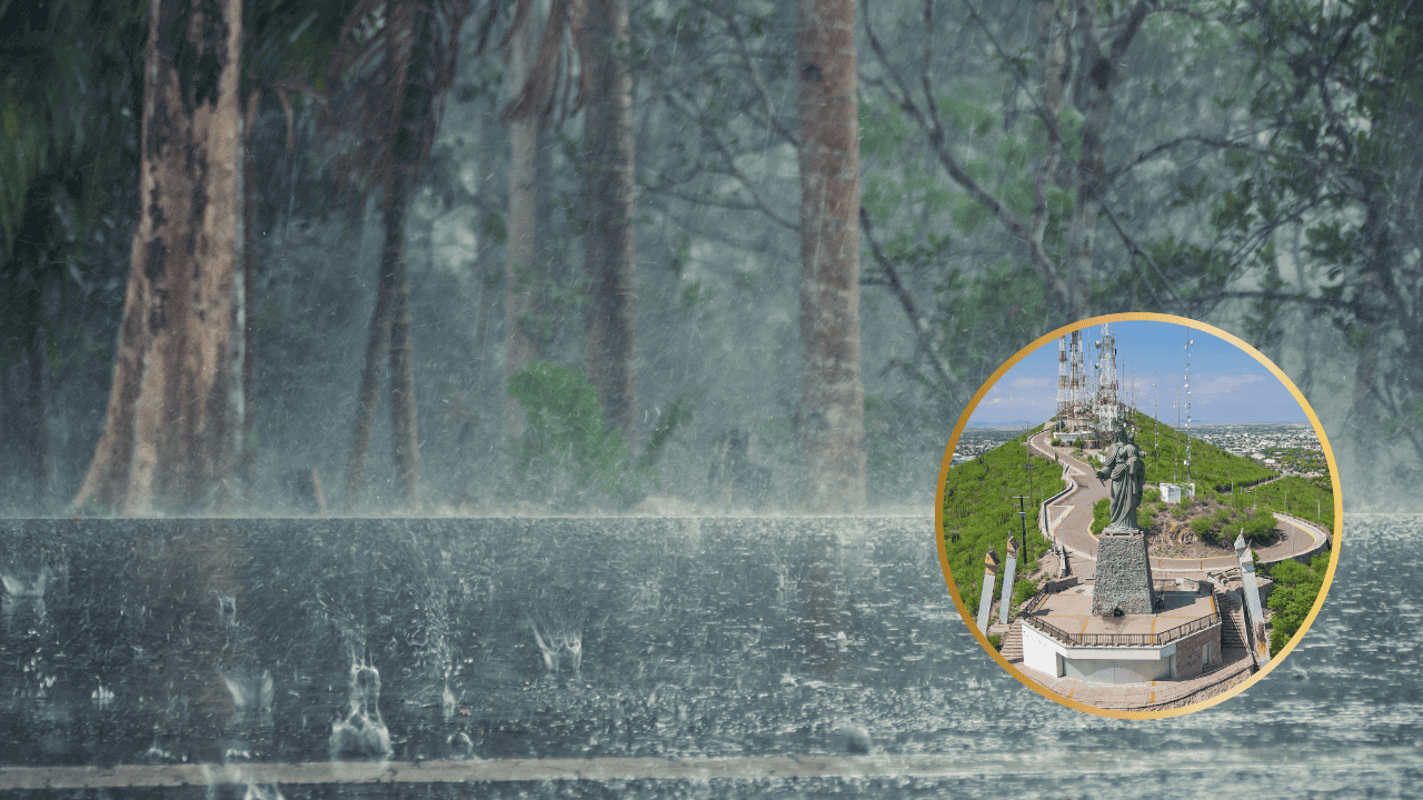 Clima en Los Mochis este miércoles, 03 de diciembre: Día nublado y lluvias ligeras