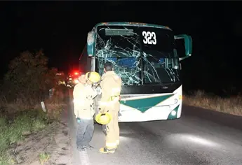 Autobús arrolla y mata a caballo en la México 15 en Guamúchil
